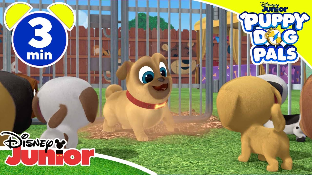Puppy Dog Pals | Alla ricerca del cucciolo – Disney Junior Italia