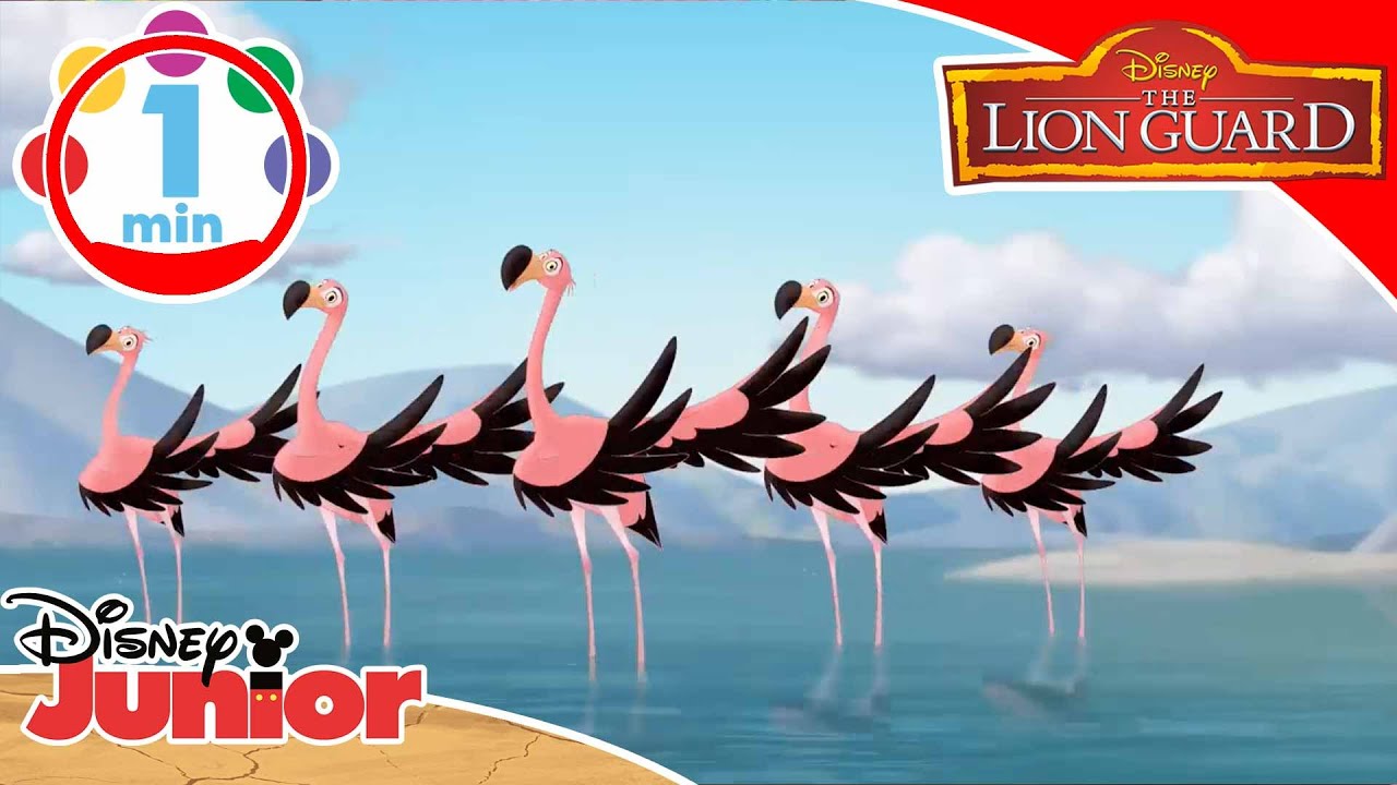 The Lion Guard | Music Lift "Vai con la festa" – Disney Junior Italia