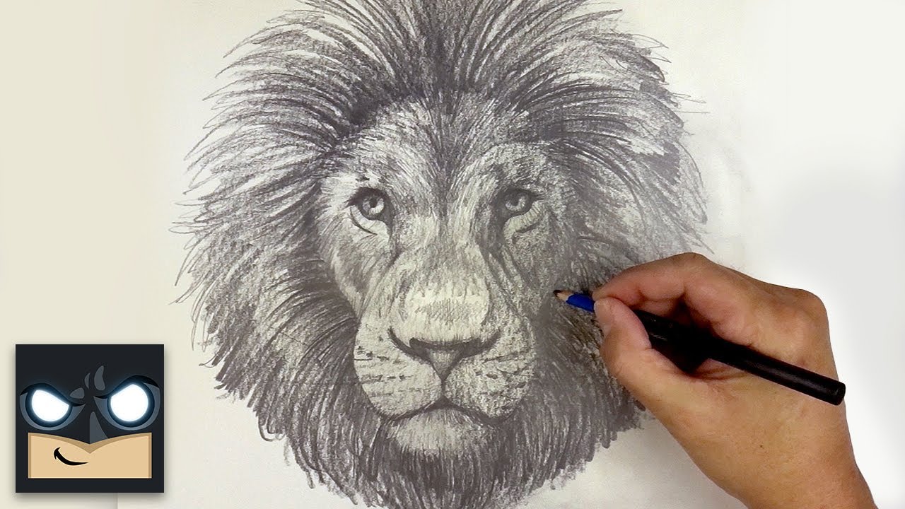 Come disegnare un leone con la matita
