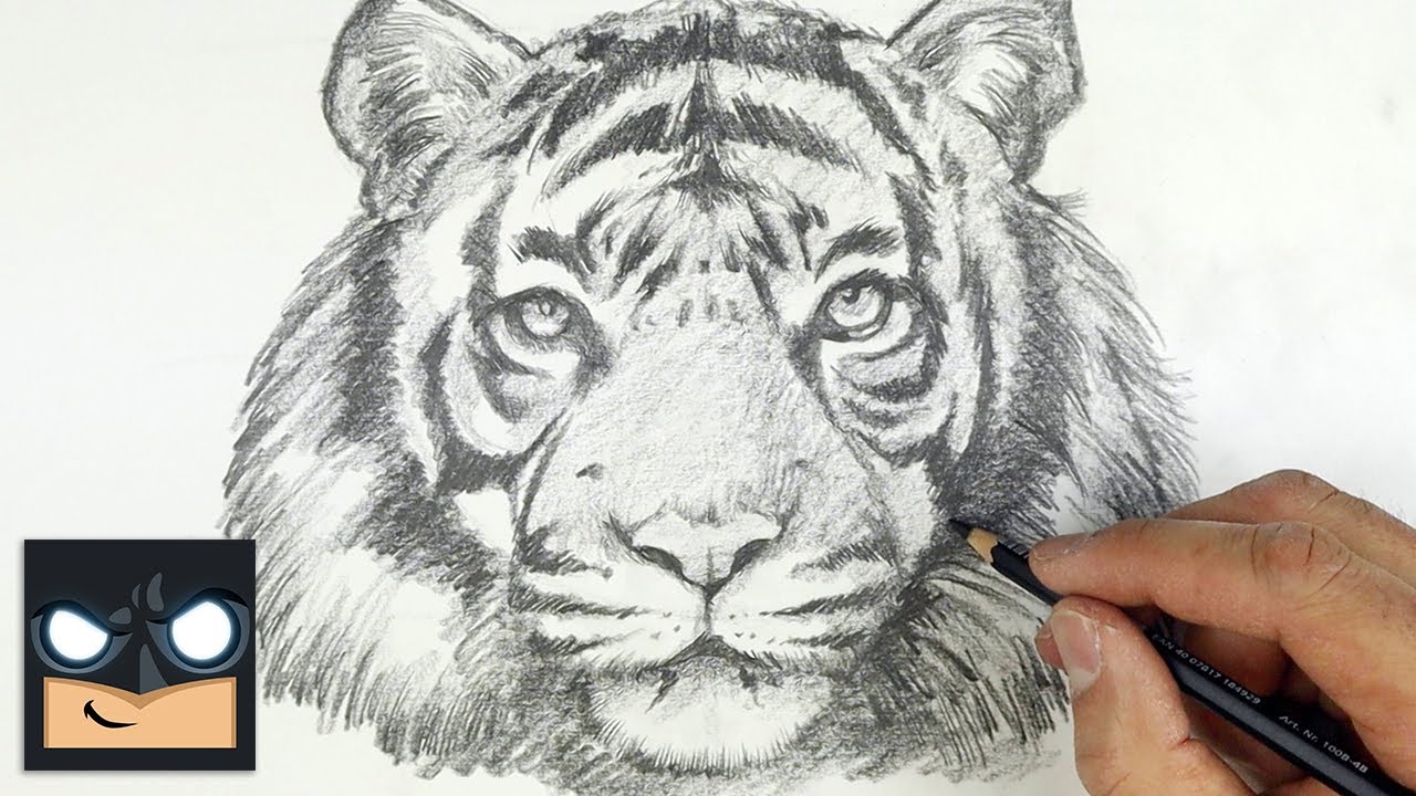 Come disegnare una tigre passo passo