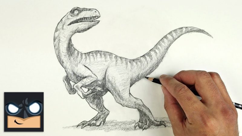 Come disegnare un Velociraptor con la matita