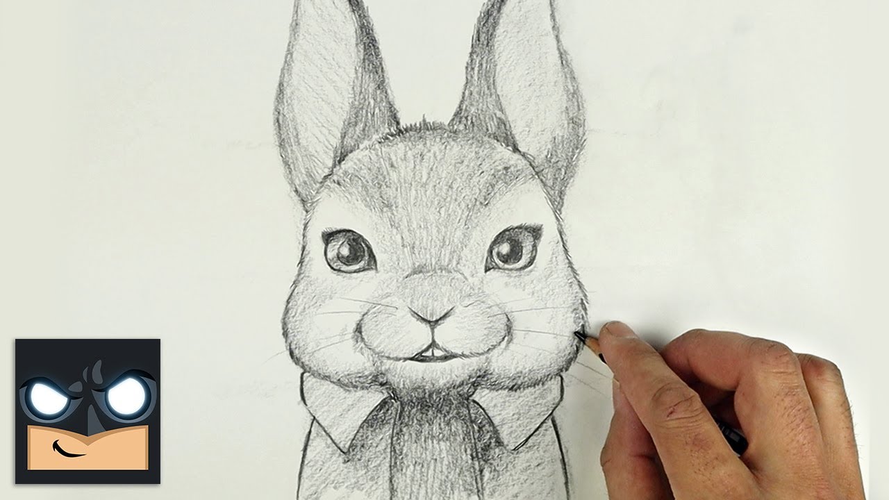Come disegnare PETER CONIGLIO con la matita