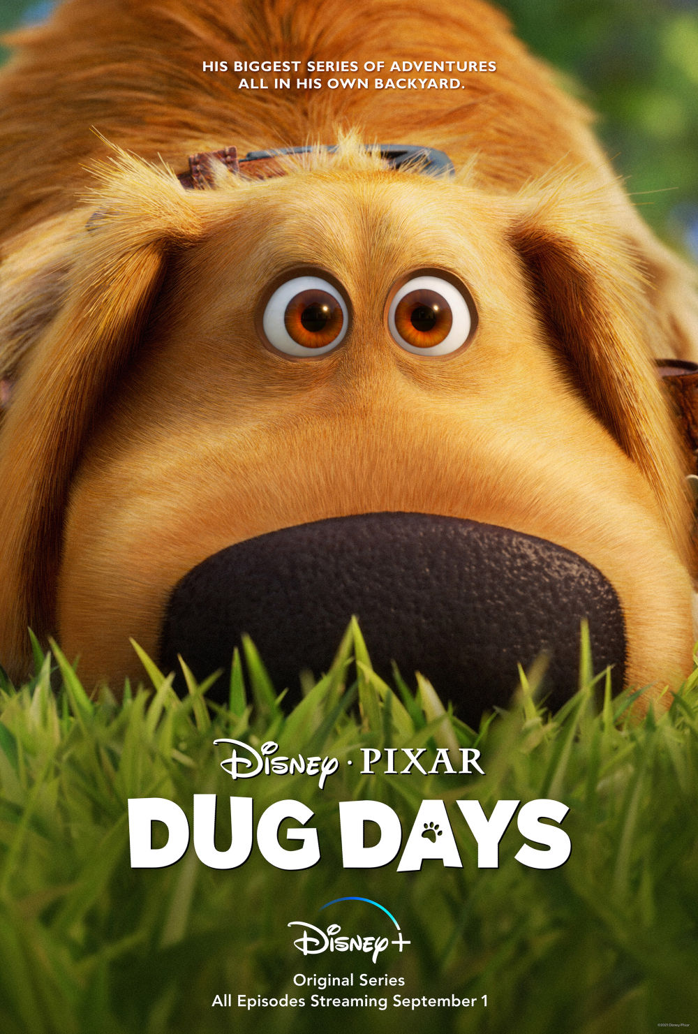 Dug Days debutta su Disney+ il 1° settembre