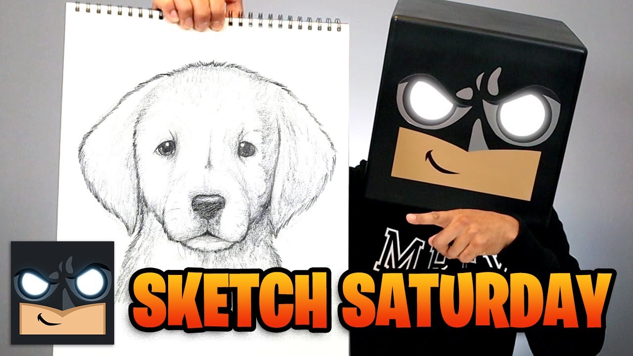 Come disegnare un cucciolo di cane Labrador con la matita passo passo