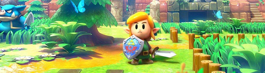 The Legend of Zelda: Link's Awakening (Interruttore)