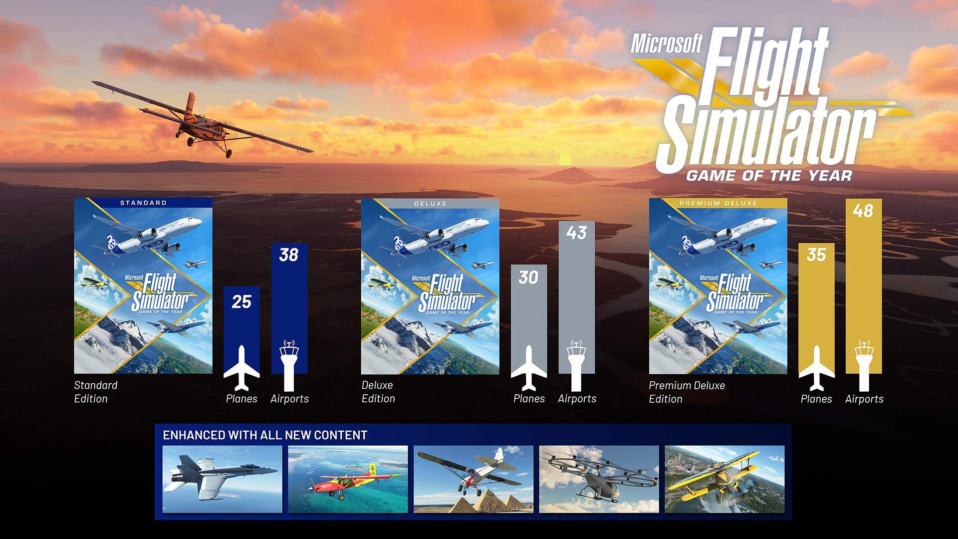 Microsoft Flight Simulator - Infografica GOTY