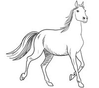 Disegni da colorare di cavalli