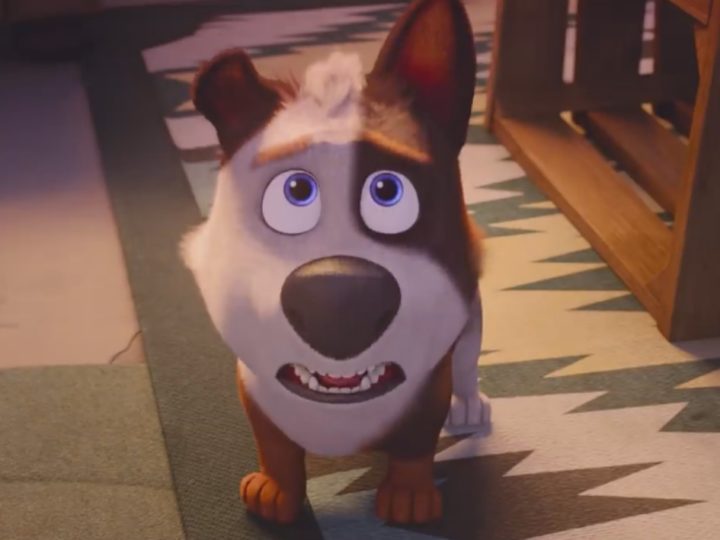 Tappo – cucciolo in un mare di guai – Il film di animazione del 2020