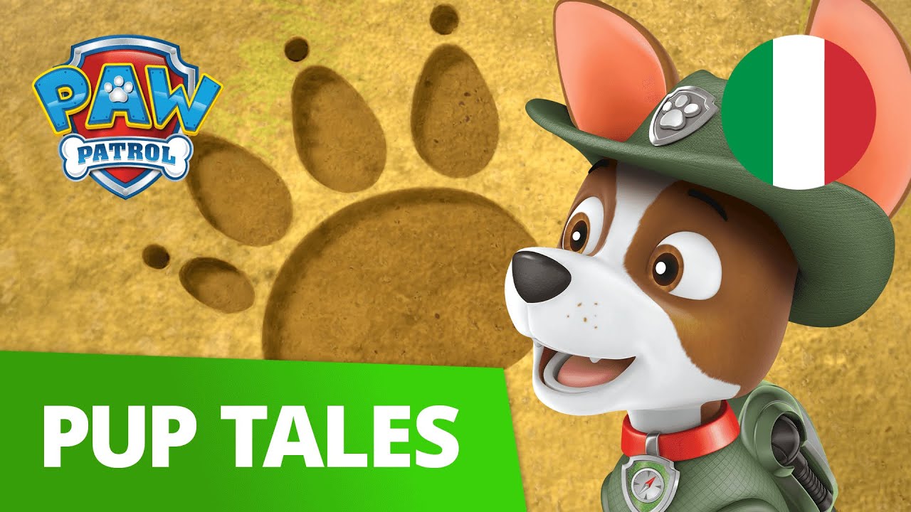 Pups redden voetafdrukken - PAW Patrol Pups-afleveringen Engels - Pup Cartoni