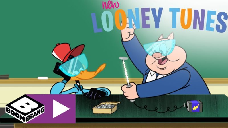 Una lezione travolgente | New Looney Tunes | Boomerang 🇮🇹