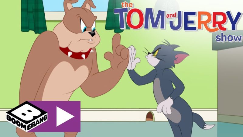 La supercolla | Tom e Jerry Show | Boomerang 🇮🇹