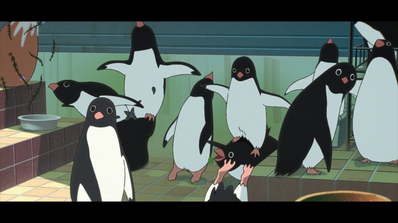 Penguin Highway (Trailer 1'30")
