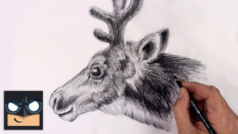 Come disegnare una renna a matita