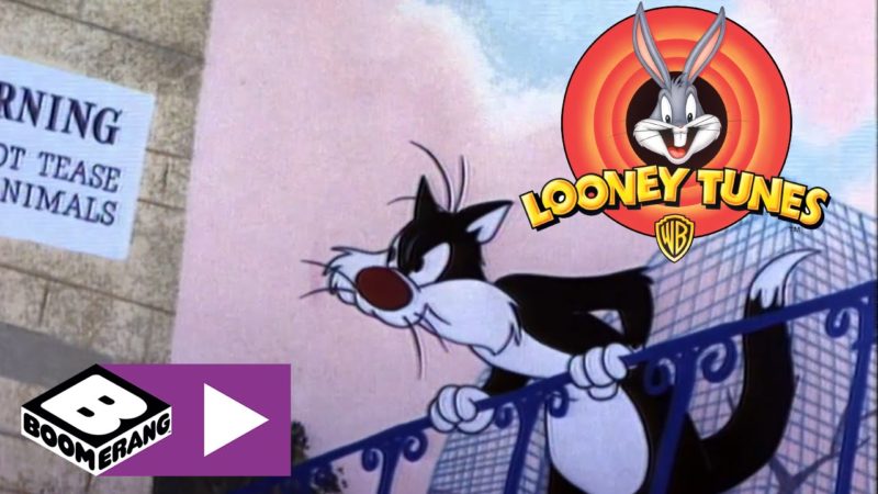 Looney Tunes | Allo zoo | Boomerang