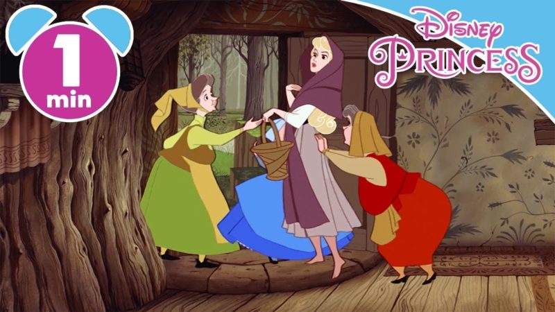 Disney Princess – Aurora – I Migliori momenti