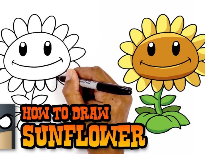 Come disegnare Sunflower di Plants vs Zombies