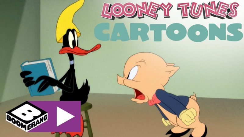 Disastri in biblioteca | Looney Tunes Cartoons | Boomerang