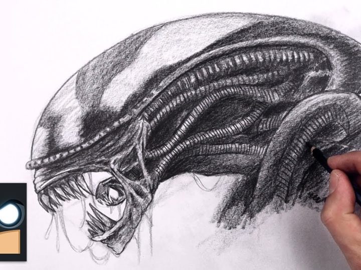 Come disegnare un alieno |  Esercitazione sullo schizzo dello xenomorfo (passo dopo passo)