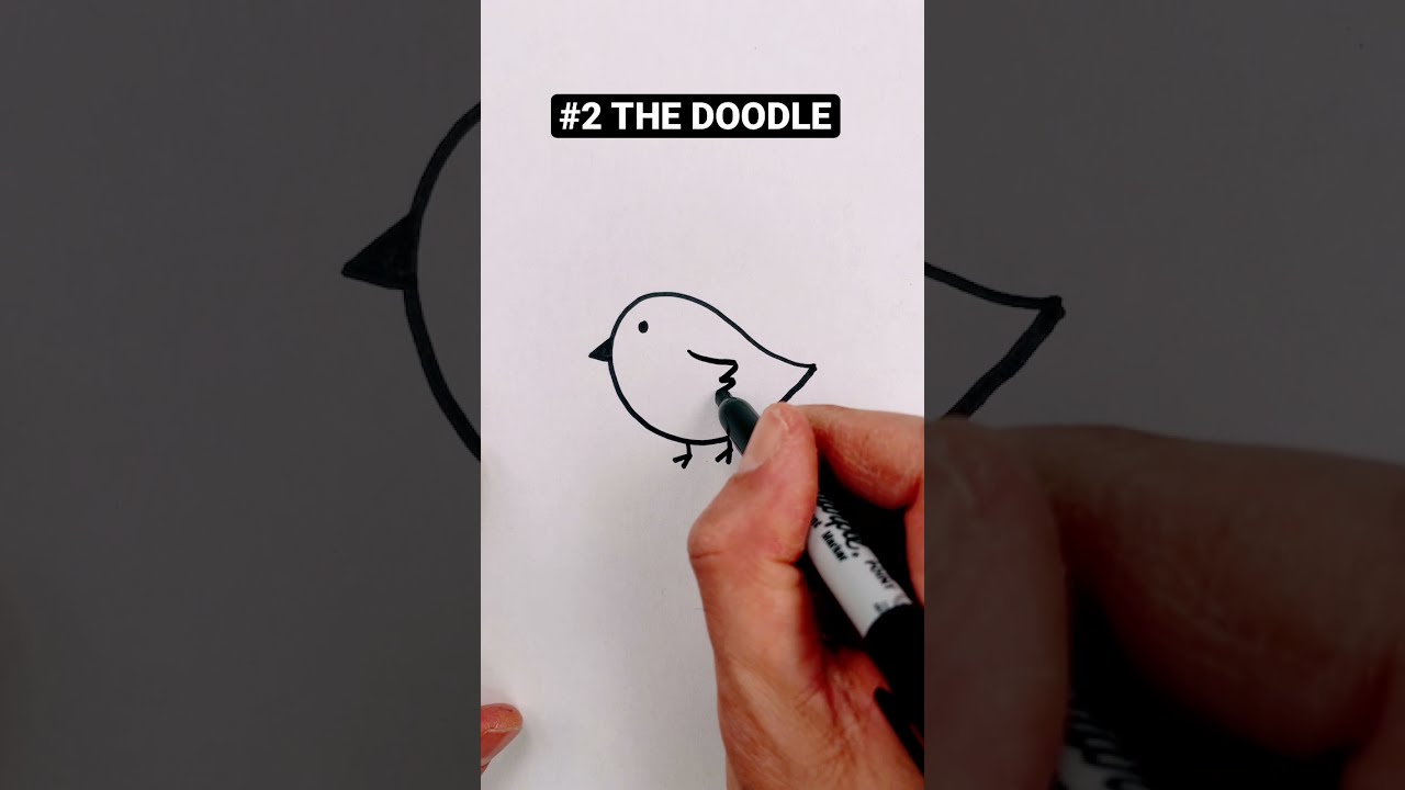 4 modi per disegnare i #corti di uccelli