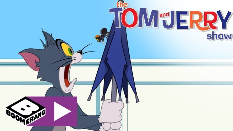 Il ragno  | Tom & Jerry Show | Boomerang