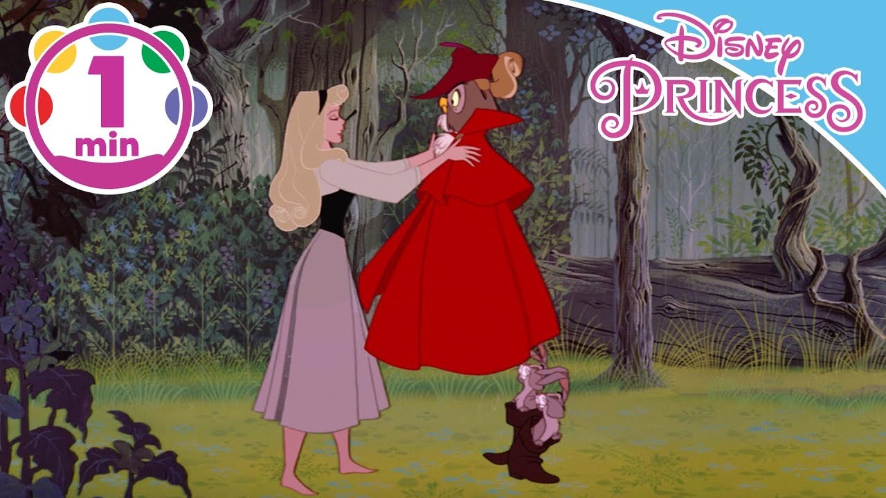 Disney Princess – Aurora – Canta Con Noi – "Lo so"