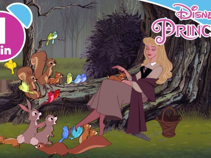 Disney Princess – Aurora – I Migliori momenti #2