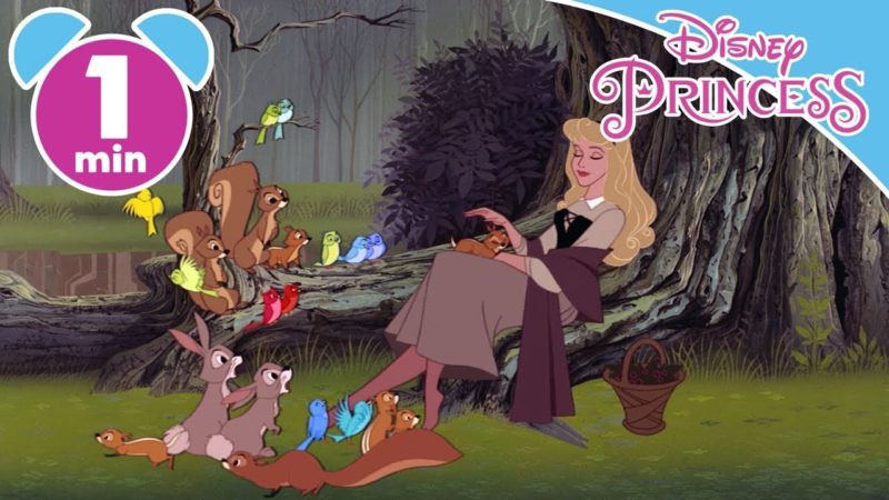 Disney Princess – Aurora – I Migliori momenti #2