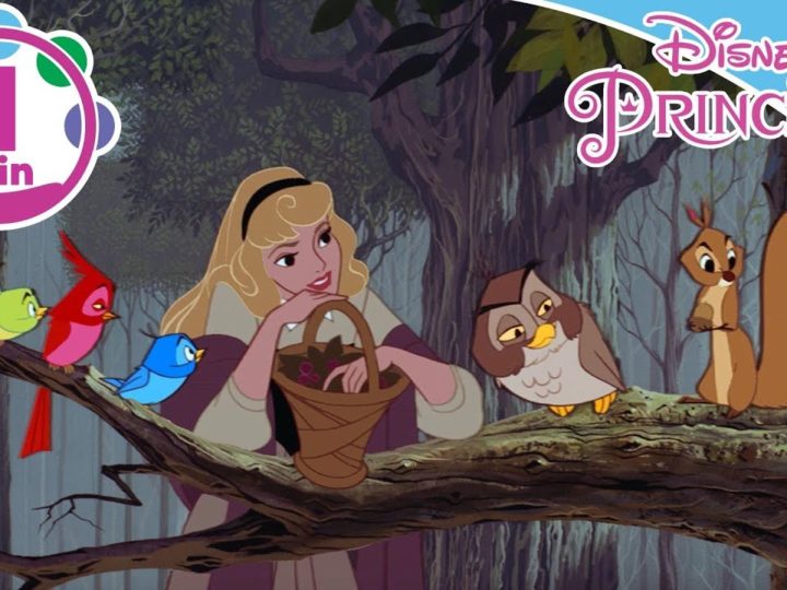 Disney Princess – Aurora – Canta Con Noi – "Mi domando"