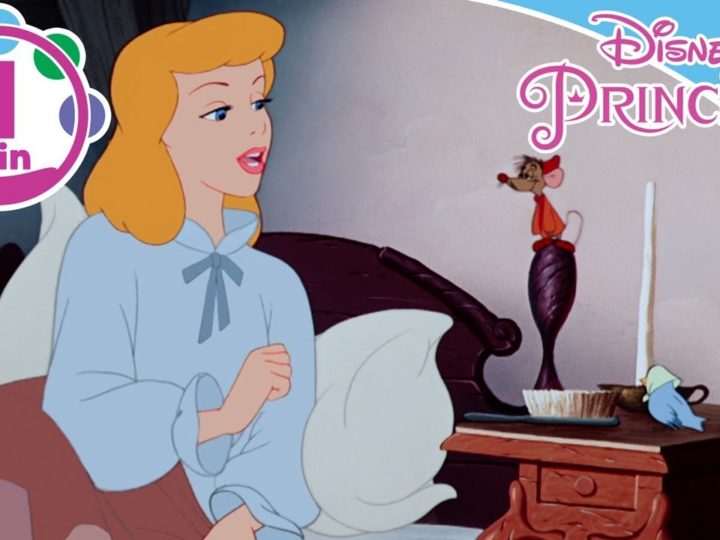 Disney Princess – Cenerentola – Canta Con Noi – "I sogni son desideri"