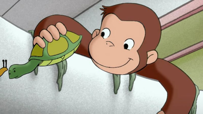 Curious George 🐵 Il momento della tartaruga 🐵Cartoni per Bambini