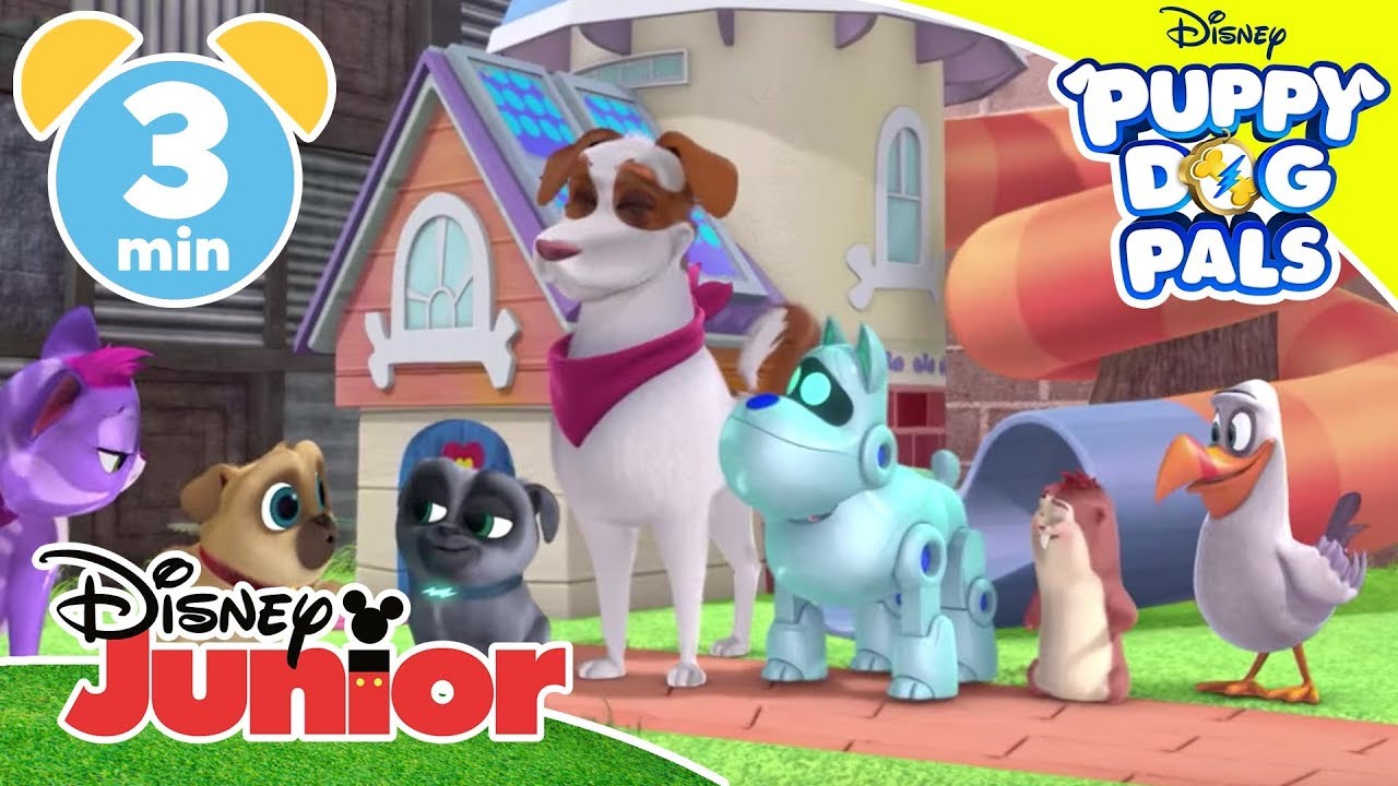 Giochiamo con i Puppy Dog Pals | Partita ad acchiaparella – Disney Junior Italia
