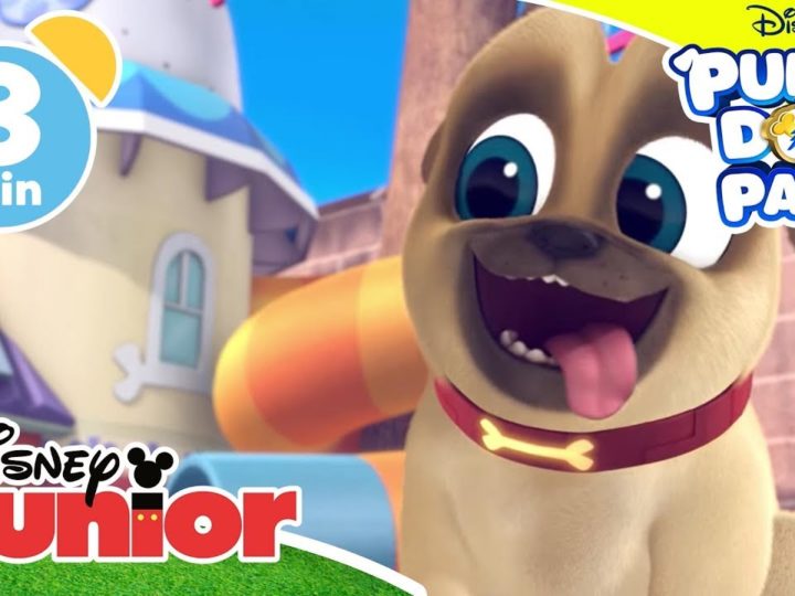 Giochiamo con i Puppy Dog Pals | Gara di sguardi – Disney Junior Italia