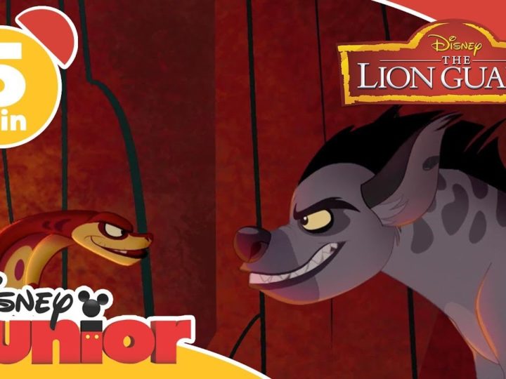 The Lion Guard | Music Compilation – Disney Junior Italia