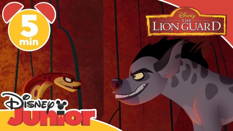 The Lion Guard | Music Compilation – Disney Junior Italia