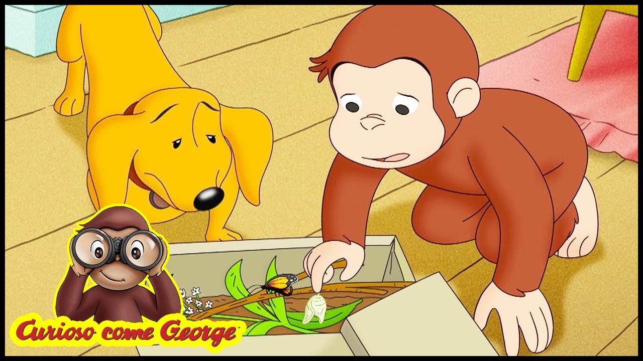 Curious George 🐵Un bruco per amico 🐵Cartoni per Bambini 🐵George la Scimmia