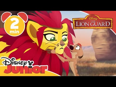 The Lion Guard | Sembrare dei leoni  – Disney Junior Italia