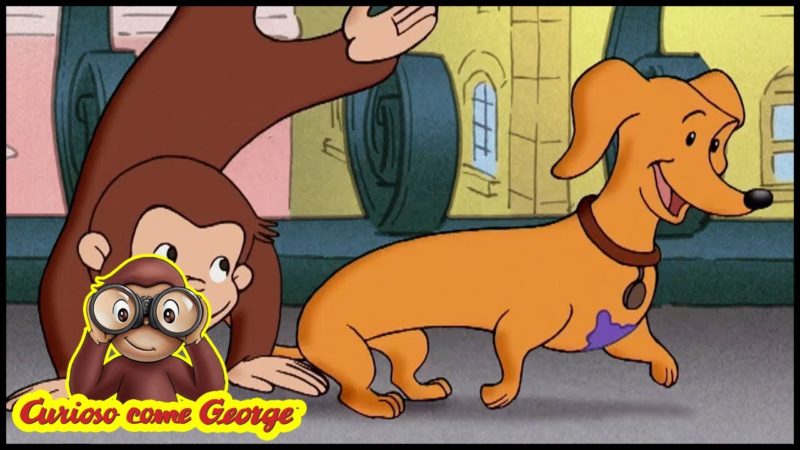 Curious George 🐵 Un Cane Reale 🐵 Cartoni Animati per Bambini 🐵 Stagione 2