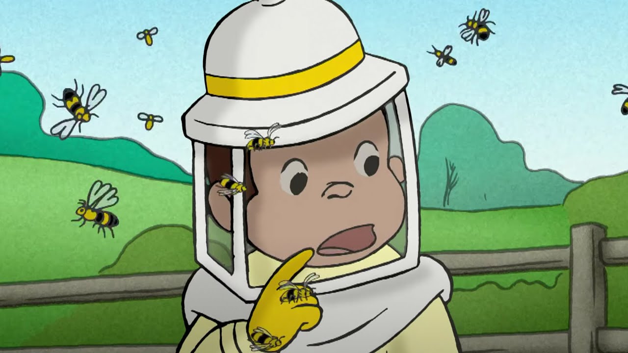 Curious George 🐵 Come le api producono il miele 🐵Cartoni per Bambini