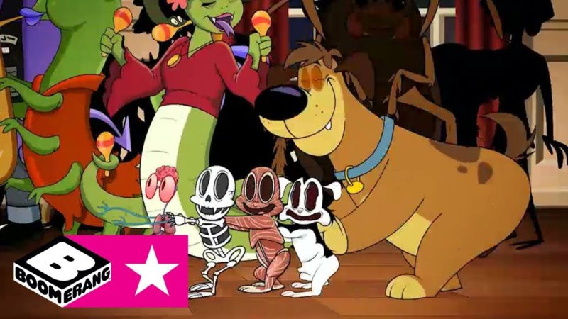 Buon Compleanno da Bunnicula! | Scooby-Doo 50 Years | Boomerang 🇮🇹