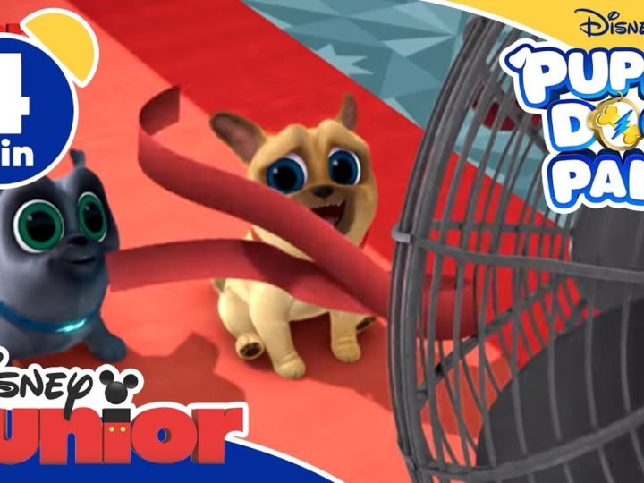 Puppy Dog Pals | In cerca di refrigerio – Disney Junior Italia