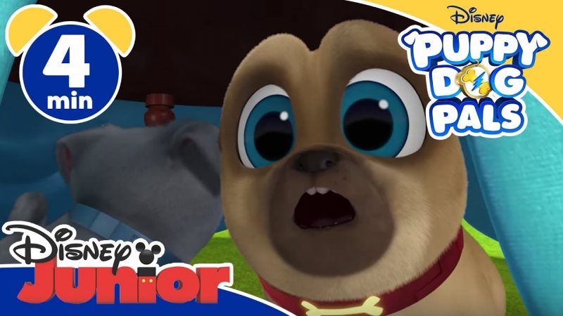 Puppy Dog Pals | Bingo e Rolly a corte – Disney Junior Italia