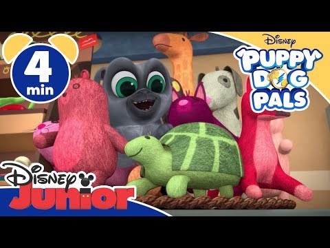 Puppy Dog Pals | Il negozio per animali – Disney Junior Italia
