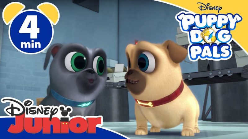 Puppy Dog Pals | La busta – Disney Junior Italia