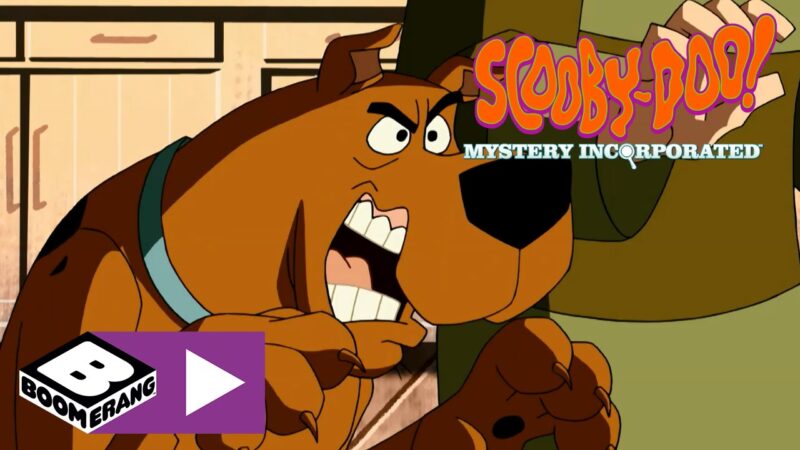 Scooby-Doo | Il regno dei libri | Boomerang