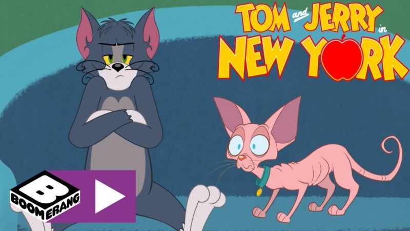 Uno strano baby-sitter | Tom & Jerry a New York | Boomerang Italia