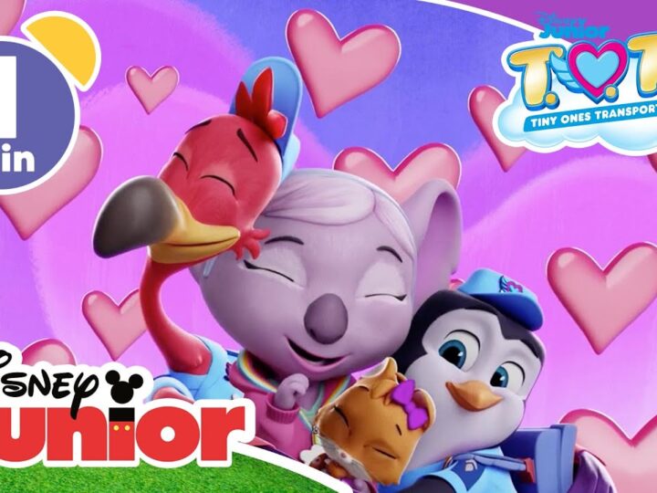 T.O.T.S. | Music video "L'amore è tutto ciò che hai" – Su Disney Junior