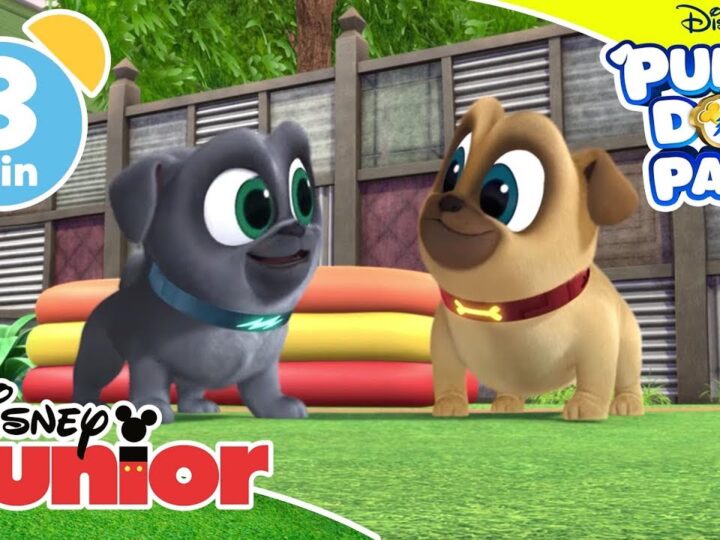 Giochiamo con i Puppy Dog Pals | Qua la zampa zampastico! – Disney Junior Italia