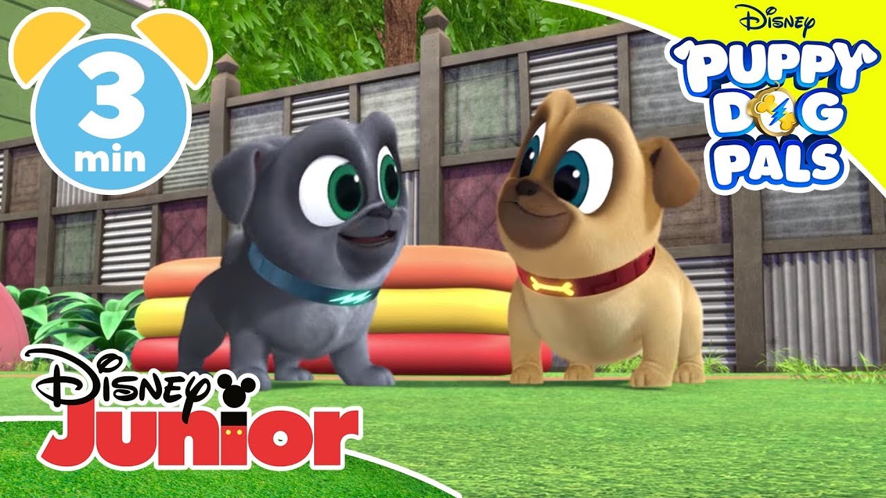 Giochiamo con i Puppy Dog Pals | Qua la zampa zampastico! – Disney Junior Italia