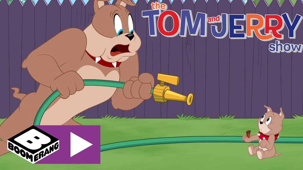 Un papà apprensivo | Tom & Jerry Show | Boomerang