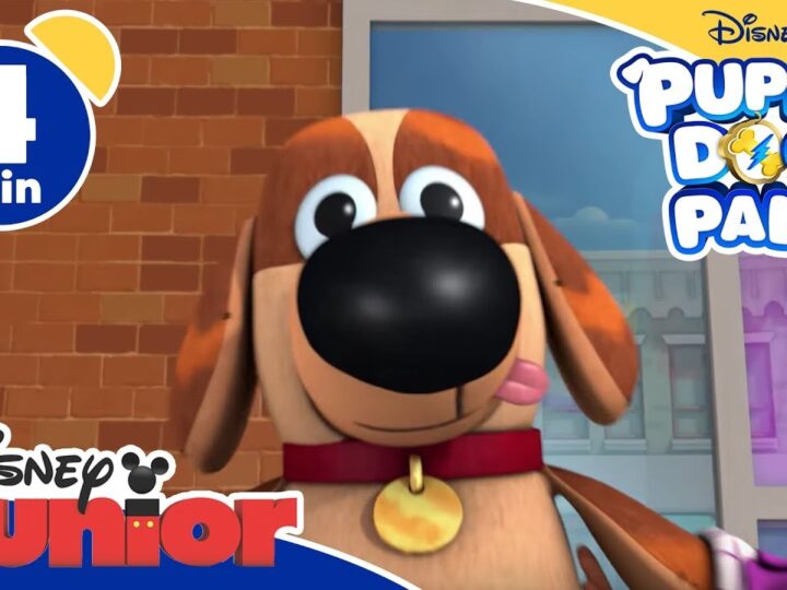 Puppy Dog Pals | Belli e splendenti – Disney Junior Italia